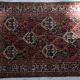 Antique Bachtiari Tribal Persian Rug with all natural colours