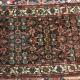 Borujerd or Brojerd Persian Village Rug hand-spun wool