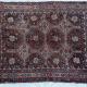 Antique Kamseh Confederacy Persian Tribal Rug