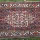 Antique Tekab-Bijar Persian Rug 