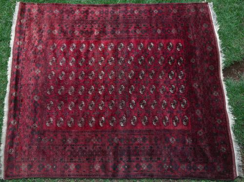 Old Afghan Ersari carpet