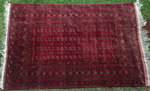 Old Afghan Tekke Carpet