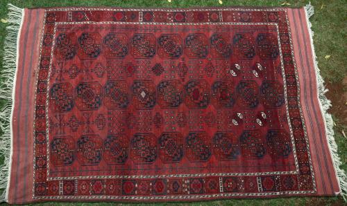 Old Ersari Afghan Main Carpet