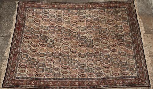 German Machine made carpet in Persian design