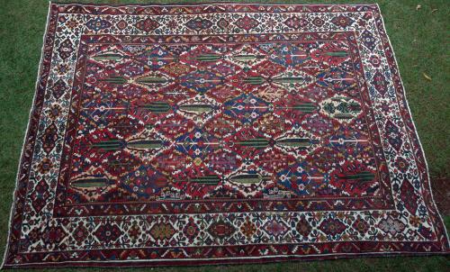 Persian Bakhtiari Tribal Antique Carpet